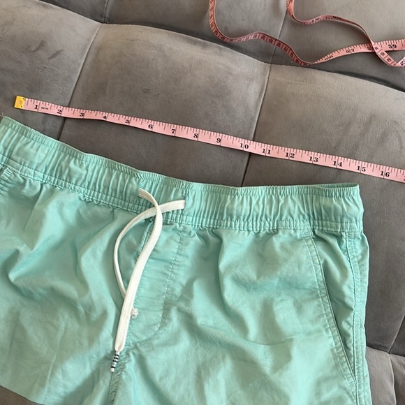 C/Y/A Mint and Gray Colorblock Board Shorts size medium - Picture 3 of 8